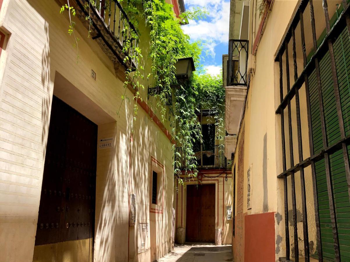 Acogedor Apt 8Pax 4Bdr 2Bth- Cozyhomesevilla2 المظهر الخارجي الصورة